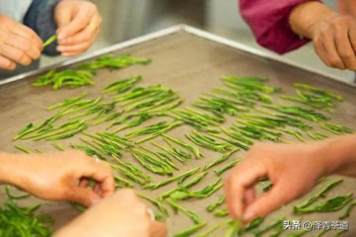 十大茶叶产品排行榜前十名(过期茶叶十大妙用)插图5
