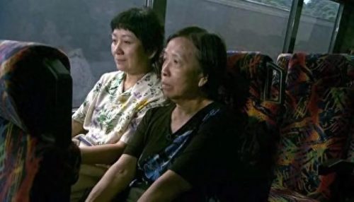 香港十大动作电影排行榜(香港三部顶级动作电影完整版)插图59