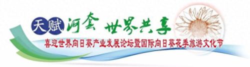 向日葵十大品牌排行榜(老站长推荐向日葵)插图1