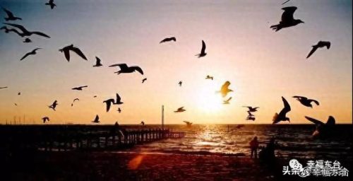 盐城品质硅藻泥排名前十(盐城耐用硅藻泥哪家好)插图5 盐城品质硅藻泥排名前十(盐城耐用硅藻泥哪家好)插图5