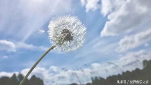 世界十大感动轻音乐排行榜(世界最有名轻音乐排行榜)插图7