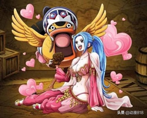 海贼王里的女人排名前十(海贼王最特殊的一个女人)插图4
