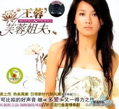 年度十大恶心歌曲排行榜(震撼人心的歌曲排名前十)插图12