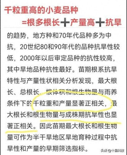 十大种业排行榜前十名(河北十大种业公司)插图4