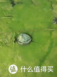 中国十大钥匙扣品牌排行榜(各品牌汽车钥匙外观)插图20