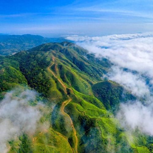 阳春旅游(阳春旅游景点)插图31
