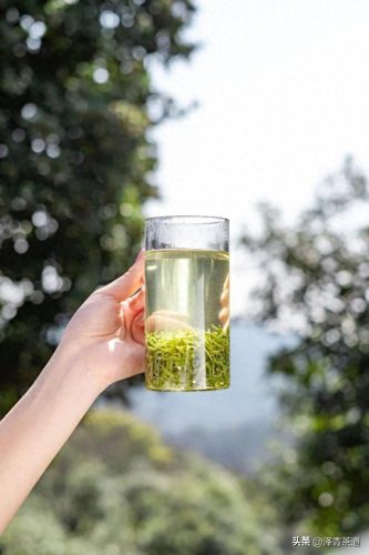 十大茶叶产品排行榜前十名(过期茶叶十大妙用)插图29