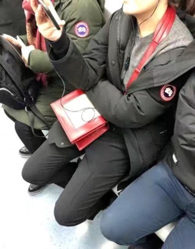 国产十大羽绒服品牌排行榜(十大顶级鹅绒服)插图1