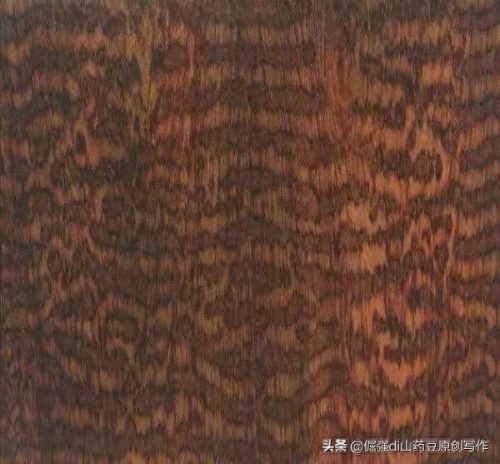 中国十大硬木头排行榜(最重的木头十大排名)插图6