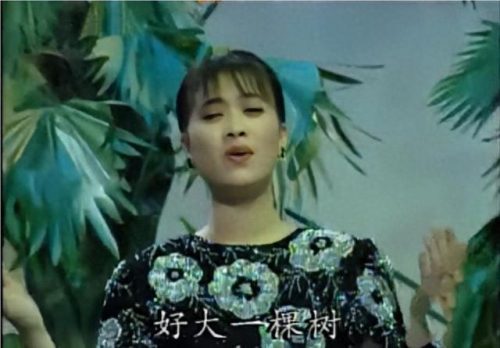 内地天后(内地天后女歌手)插图14