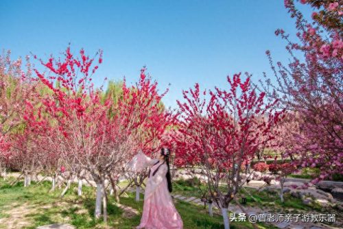 西安十大不坑景点排行榜(西安必打卡十大网红)插图73