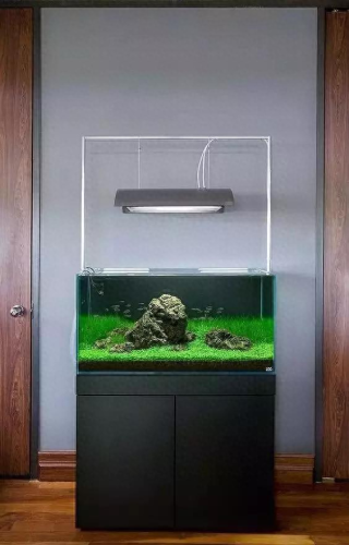 鱼缸水草灯十大品牌排行榜(鱼缸灯最佳品牌)插图7