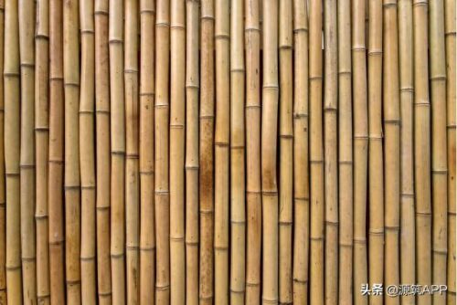 国外建筑材料企业排名前十(国外建筑材料需求量排行)插图8