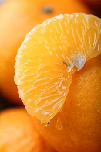 冬奥会水果排名前十(冬奥会创意水果)插图11 冬奥会水果排名前十(冬奥会创意水果)插图11