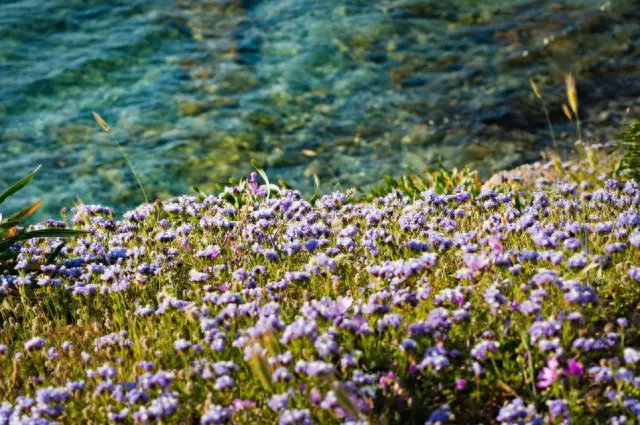 网上十大意大利歌曲排行榜(意大利的十大歌曲)插图9