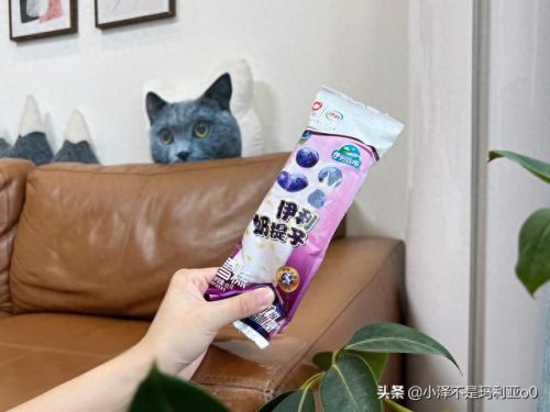 十大高价雪糕排行榜实体店(十大宝藏雪糕盘点)插图22 十大高价雪糕排行榜实体店(十大宝藏雪糕盘点)插图22