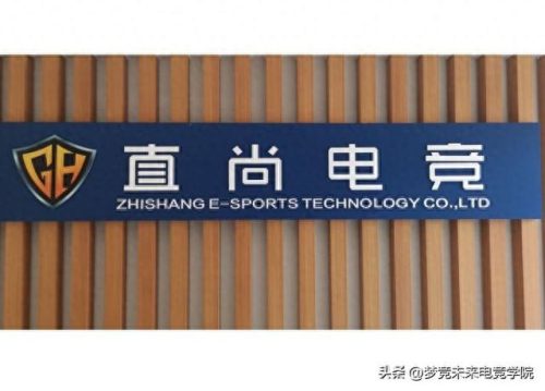 长沙电子竞技学校排名前十(长沙电子技工学校)插图5