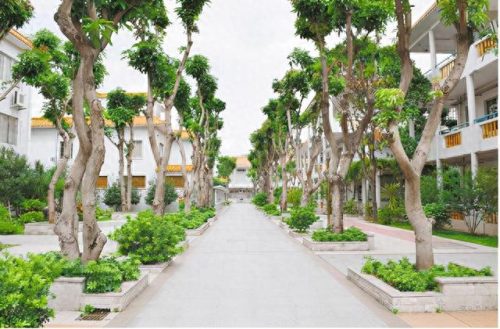 台山以前十大高中排行榜(台山市高中排名一览表)插图8