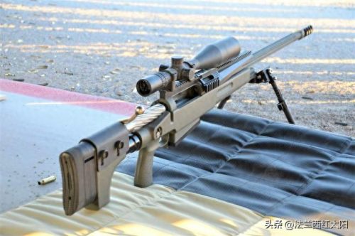 武器排行榜十大狙击枪图片(塞维奇狙击枪排行榜)插图5