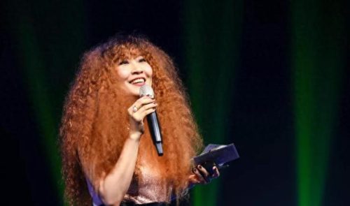 网上最火的十大歌星排行榜(八十年代国内十大歌星)