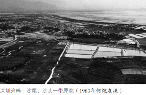 深圳十大姓氏家族排行榜(深圳十大家族)插图 深圳十大姓氏家族排行榜(深圳十大家族)插图