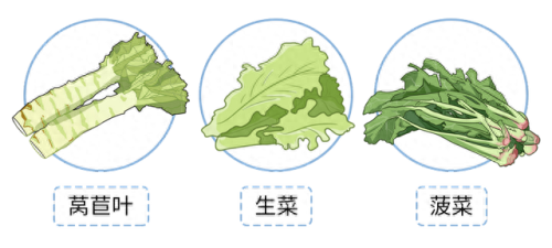 抗肿瘤十大蔬菜排行榜图(十大补肾蔬菜排名)插图1
