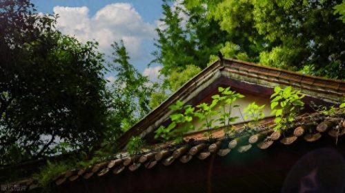 武汉市十大免费景点排行榜(武汉市内十大景点大全)插图44