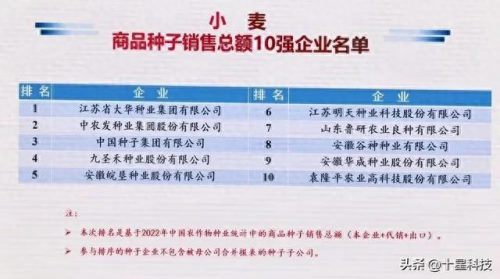 十大种业排行榜前十名(河北十大种业公司)插图