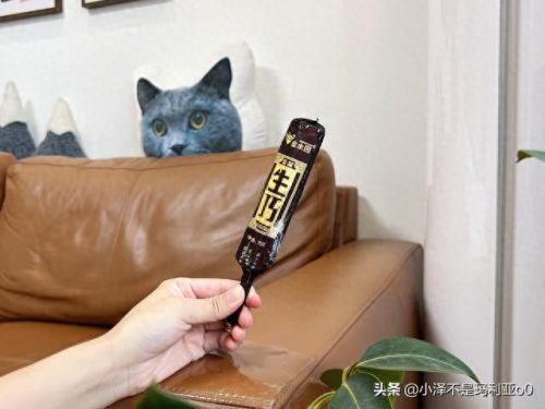 十大高价雪糕排行榜实体店(十大宝藏雪糕盘点)插图19 十大高价雪糕排行榜实体店(十大宝藏雪糕盘点)插图19