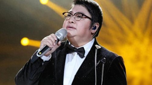 十大专业女歌手排行榜最新(网红歌手女名单)插图7