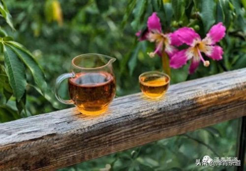 十大茶叶产品排行榜前十名(过期茶叶十大妙用)插图3
