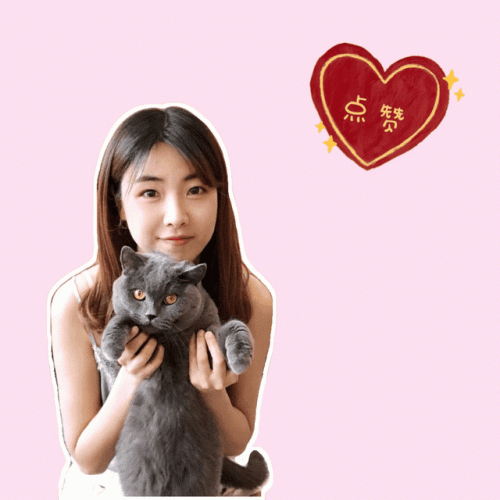 十大高价雪糕排行榜实体店(十大宝藏雪糕盘点)