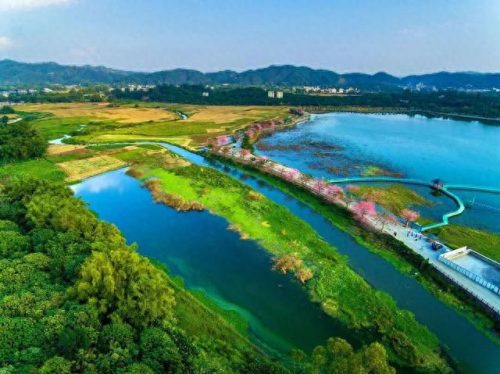 阳春旅游(阳春旅游景点)插图51