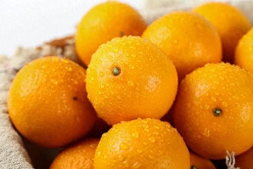 冬奥会水果排名前十(冬奥会创意水果)插图12 冬奥会水果排名前十(冬奥会创意水果)插图12