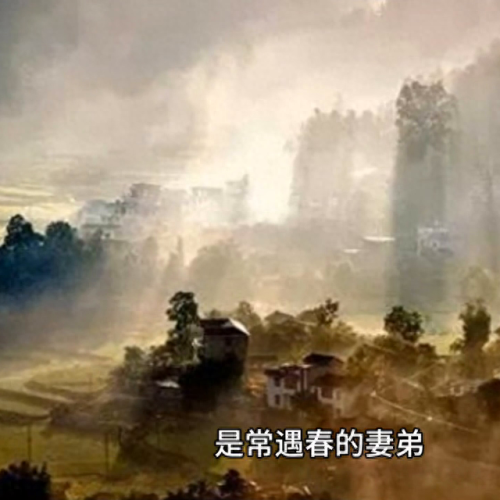 十大将领实力排行榜图片(越南十大将领名单)插图