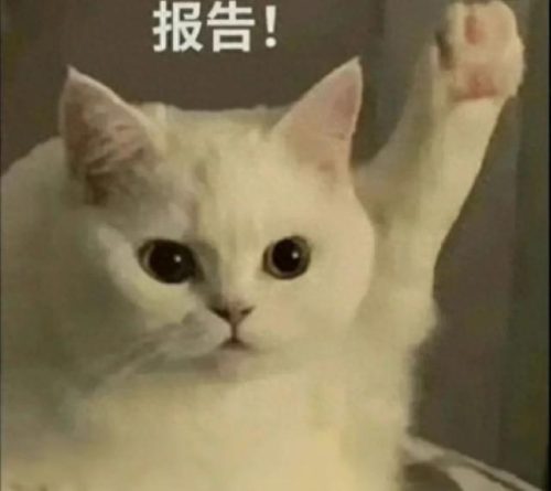 常州市外国语学校(常州清英外国语学校死人事件)插图