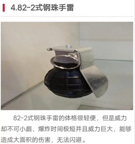 世界十大禁用手雷排行榜(十大禁用武器排行榜)插图