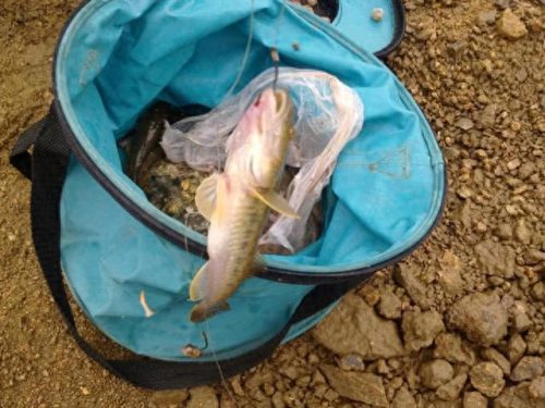 连云港钓鱼大师排名前十(侯德胜钓鱼大师)插图9 连云港钓鱼大师排名前十(侯德胜钓鱼大师)插图9