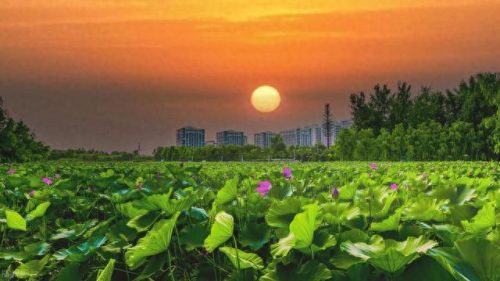 平谷最好玩的景点排名前十(平谷农家乐十大排名)