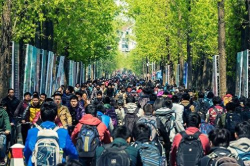 甘肃冷锅鱼加盟排名前十(冷锅鱼加盟排名)插图 甘肃冷锅鱼加盟排名前十(冷锅鱼加盟排名)插图