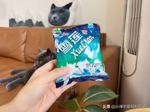 十大高价雪糕排行榜实体店(十大宝藏雪糕盘点)插图14 十大高价雪糕排行榜实体店(十大宝藏雪糕盘点)插图14