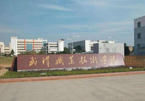 湖北高职高中学校排名前十(湖北比较好的职业高中学校)插图1