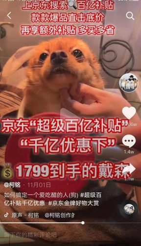 十大萌宠主播排行榜最新(十大宠物主播排行)插图5 十大萌宠主播排行榜最新(十大宠物主播排行)插图5