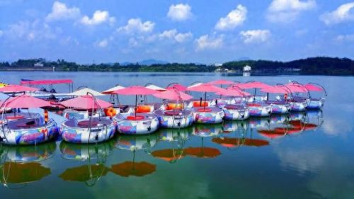 阳春旅游(阳春旅游景点)插图52