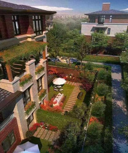 昆山小院绿植销售排名前十(昆山花桥绿植批发排名)插图10 昆山小院绿植销售排名前十(昆山花桥绿植批发排名)插图10