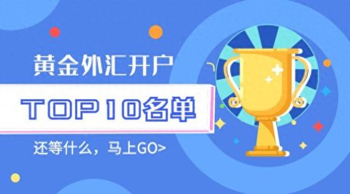 国际外汇投资平台排名前十(gmtm外汇平台)