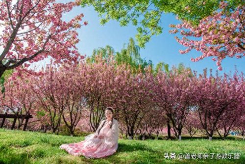 西安十大不坑景点排行榜(西安必打卡十大网红)插图76