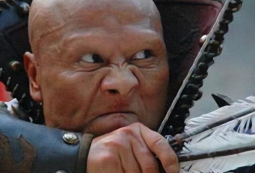 十大不火功夫明星排行榜(功夫明星蘑菇头是谁)插图6