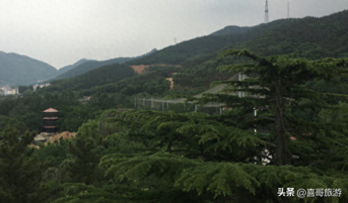 南山十大景点排行榜前十名(南山区十大必去景点)插图7