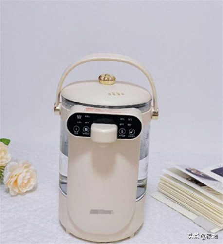 十大好用的做饭电器排行榜(德国十大电器品牌)插图13
